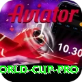 2007 t20 world cup Pakistan Master v1.7.9