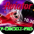 2022 world cup cricket Super - Free Download
