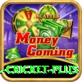 all cricket Master - Casino & Slots