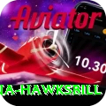 antigua hawksbill Apps (Tools & Injectors) Gold v2.9.3
