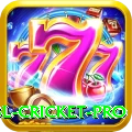 bbl cricket PK Super