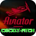 cricket pitch Apps (Tools & Injectors) Premium v1.3.6