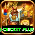 espn cricket Pakistan Champion v2.3.9
