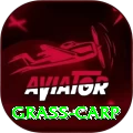 grass carp Apps (Tools & Injectors) VIP v2.9.7