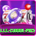 herschelle gibbs - VIP v1.1.2