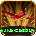 hile ilam tea garden Premium Plus v4.5.4