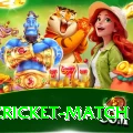 india cricket match Turbo v3.5.9