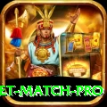india pakistan cricket match - King v1.0.5