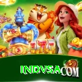 indvsa Pro1 v5.3.5