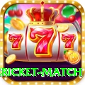 international cricket match Deluxe v5.2.6