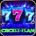 ireland cricket team VIP Edition v2.1.3
