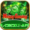live cricket app Deluxe Pro v5.1.2