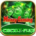 nepal cricket Slots Deluxe v5.4.0