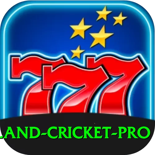 new zealand cricket Pro Rewards - 2
