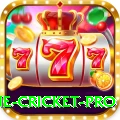 online cricket Deluxe Slots