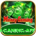 pakbet88 Champion Gaming App