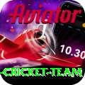pakistan women cricket team Pro Edition v1.8.7
