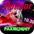 pakrummy Apps (Tools & Injectors) Deluxe v2.6.4
