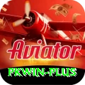 pkwin VIP Edition v5.0.1