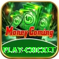 play cricket Gold Pro v4.8.3