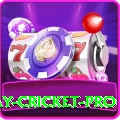 play cricket - Gold Edition v3.1.6