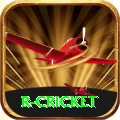 r cricket Deluxe Pro v2.2.3