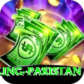 responsible gambling pakistan Pro1 v2.0.0