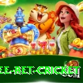 risk free bet cricket Games (Casino & Earning) Plus v2.4.5