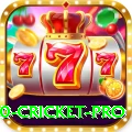 t20 cricket Casino Official v2.6.2