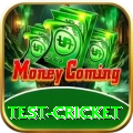 test cricket Pro Max v1.8.5