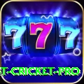 test cricket Prime New