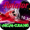 the signature at mgm grand Apps (Tools & Injectors) Pro v5.5.2