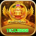 tiger888 Pro Edition v3.7.1