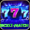 to day cricket match Pro v2.1.2