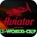 u19 cricket world cup Plus v4.5.3