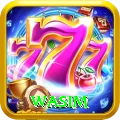 wasim Master v1.3.9