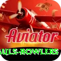 wicket hauls bowlers Deluxe Edition v3.6.0
