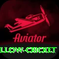 willow cricket Apps (Tools & Injectors) Premium v5.7.3