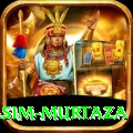 yasim murtaza Plus Pro v3.3.6
